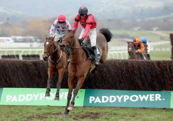 Ahoy Senor back to his best in Cotswold Chase thriller