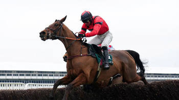 Ahoy Senor comes of age to put himself in Gold Cup picture