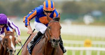 Aidan O’Brien aiming for record-equalling eighth Dewhurst Stakes with Aesop’s Fables