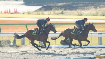 Aidan O'Brien double-handed in Japan Cup as Broome and Japan take on Contrail