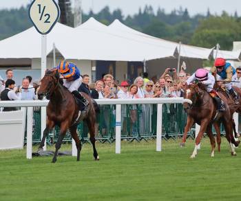 Aidan O'Brien expects Paddington to handle small-field Coral-Eclipse