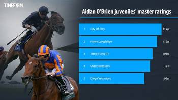 Aidan O'Brien leading two-year-olds: The class of 2023