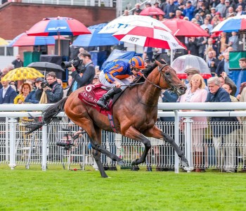 Aidan O'Brien reveals where Paddington will be in action next after small break