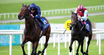 Aidan O’Brien's Santa Barbara backed into favourite from odds of 8-1 for 1,000 Guineas