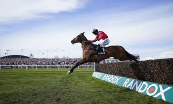 Aintree Bowl: What they say