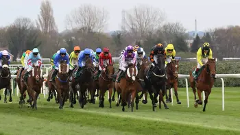 Aintree racing tips: Best bets for Sunday, October 29