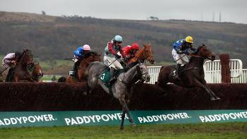 Alan King on Edwardstone ahead of the Shloer Chase at Cheltenham's November Meeting