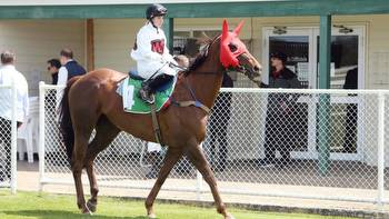Albany sprinters Red Can Man and This’ll Testya primed for attack on $1.5 million Winterbottom Stakes