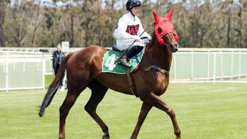 Albany star Red Can Man with ideal draw as trainer Steve Wolfe attempts to win first Group 1 race