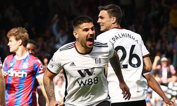 Aleksandar Mitrovic's performances have seen the Cottagers thrive in the Premier League this season