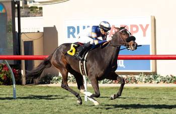 Alexander’s Homebred Carole Lombard Prominent In Saturday’s $200,000 Leigh Ann Howard California Cup Oaks