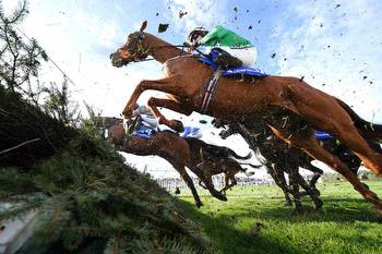 all 40 horses rated and ranked for the Aintree showpiece