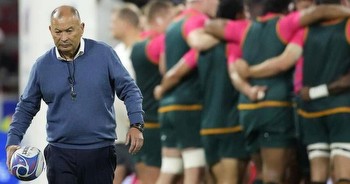 All Blacks coach Ian Foster spruiked for Wallabies role