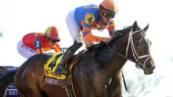 'All others' favored in KDFW Pool 2, Sire Future Wager