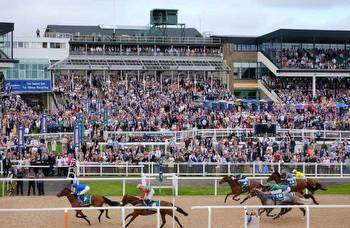 All Races & Runners At Newcastle Today