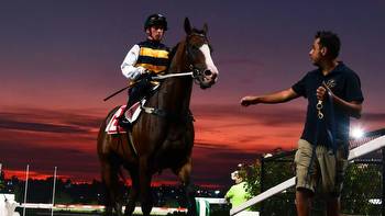 All-Star Mile: Mick Price confident I'm Thunderstruck to bounce back