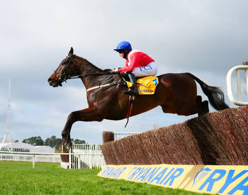 Allaho to miss Cheltenham after suffering abdominal bleed