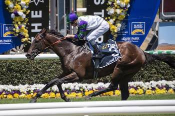 Alpine Edge out for redemption in The Archer