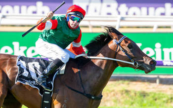Amelia's Jewel bouncing into Northerly Stakes