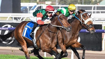 Amelia's Jewel cruises to victory and has ‘more in the tank'