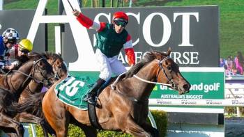 Amelia's Jewel set to make statement in Roma Cup return