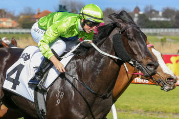 Amenable set to bounce back in Toorak Handicap