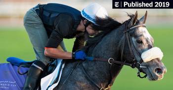 American Trainers Dive Into the Dubai World Cup