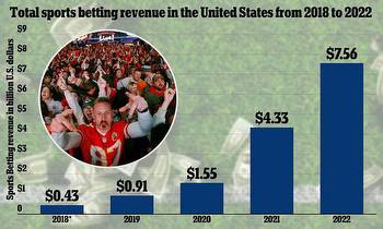 Americans have lost a staggering $245BILLION on sports betting since restrictions were loosened in 2018