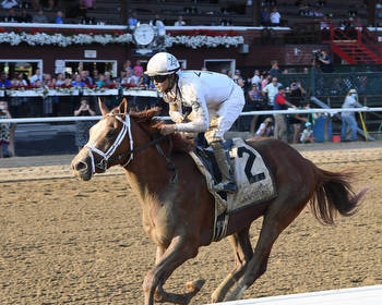 amNY at the Track: Todd Pletcher holds strong hand in Jockey Club Gold Cup on closing weekend at Saratoga