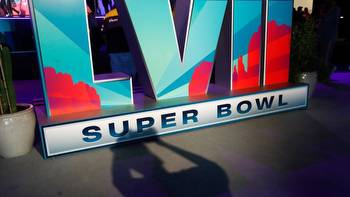 An estimated $16 billion worth of bets will be placed on the Super Bowl