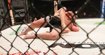 An Introduction to MMA: A Beginner's Guide
