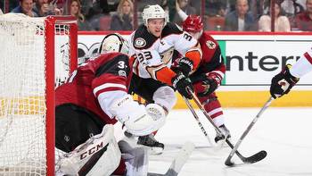 Anaheim Ducks vs Arizona Coyotes Game Preview and Prediction 1/24/2023