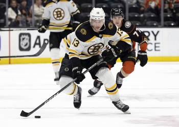 Anaheim Ducks vs Boston Bruins prediction 10-22-23 NHL Picks