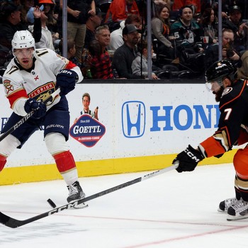 Anaheim Ducks vs. Florida Panthers Prediction, Preview, and Odds