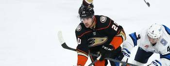 Anaheim Ducks vs St Louis Blues 11/19/2022 Picks Predictions