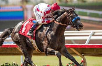 Analysis: How to bet Saturday's Santa Anita Derby