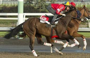 Analysis: Merveilleux could post a mild surprise in Queen's Plate