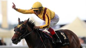 Analysis of Wesley Ward's team for Royal Ascot