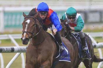 Anamoe and Zaaki could still clash in George Main Stakes