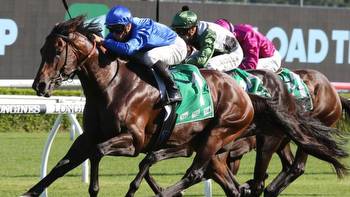 Anamoe to chase most Group 1s in a season since Winx