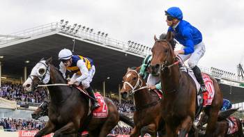 Anamoe's Apollo Stakes odds ‘a gift' according to form guru