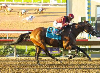 Anarchist Punches Breeders' Cup Ticket Via Del Mar's Pat O'Brien