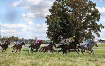 and uniquely well-funded: welcome to Kentucky Downs, the most distinctive racetrack in the US