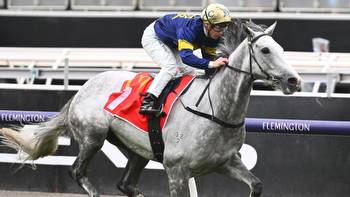 Andrew Ramsden is the race White Marlin will chase a Melbourne Cup start through