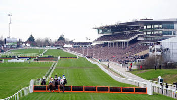 Andy Gibson’s Festival insights: Cheltenham track bias and the Supreme Hurdle