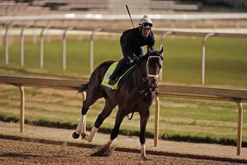 ‘Angel of Empire will win the Kentucky Derby,’ says horse racing expert
