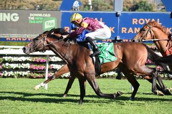 Annabel Neasham imports descend on Rosehill