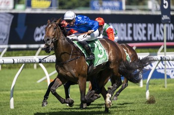 Another big day of action on Spring Champion Stakes day