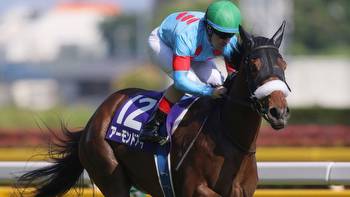 Another superstar beaten as Almond Eye only manages second in Yasuda Kinen