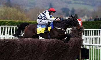 Ante-post Cheltenham Gold Cup preview: Stattler can bridge the gap